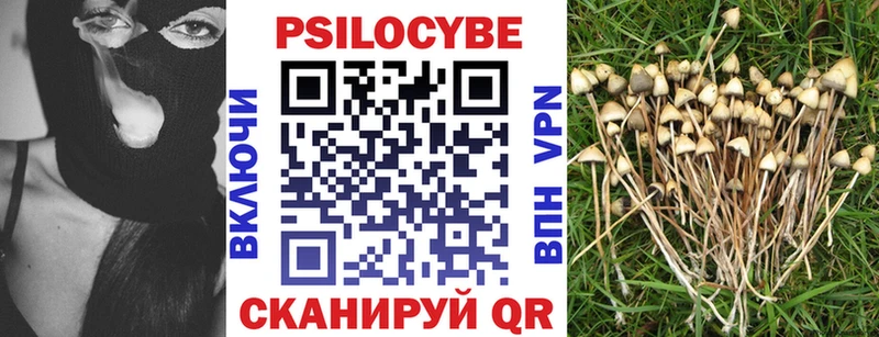 Купить закладки  Нерчинск  Галлюциногенные грибы мухоморы 